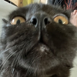 Meet your Posher, Ellie